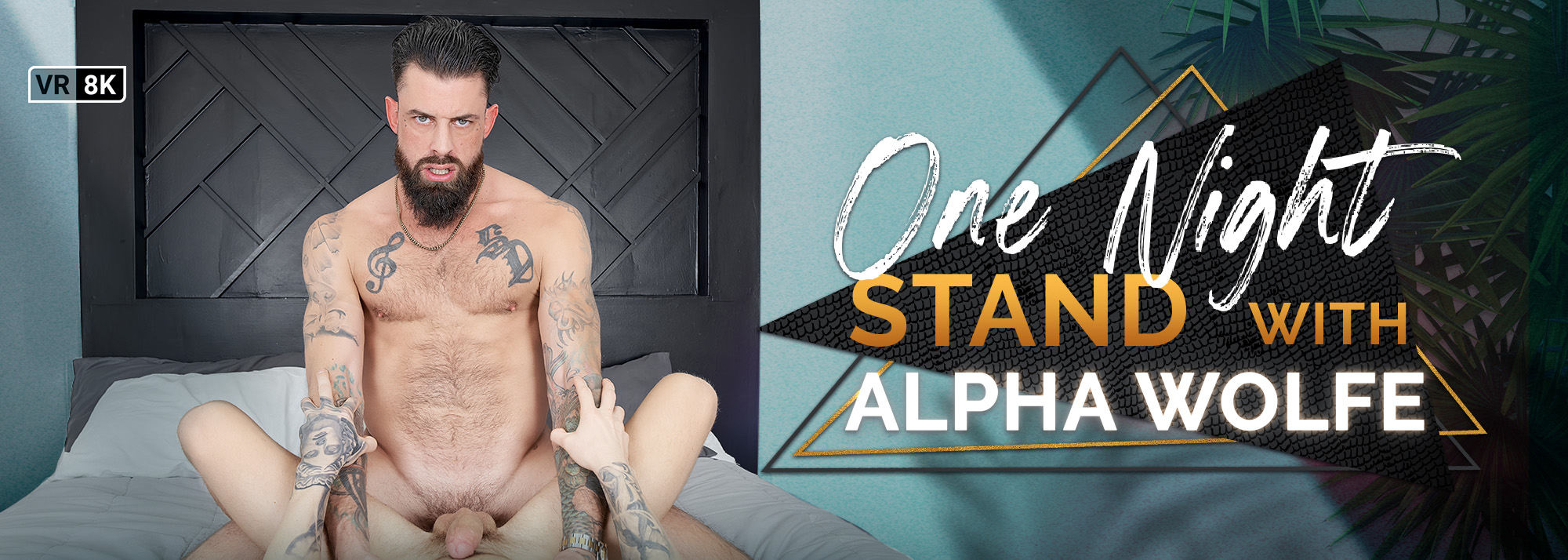 One Night Stand With Alpha Wolfe - Gay VR Porn Video, Starring: Alpha Wolfe