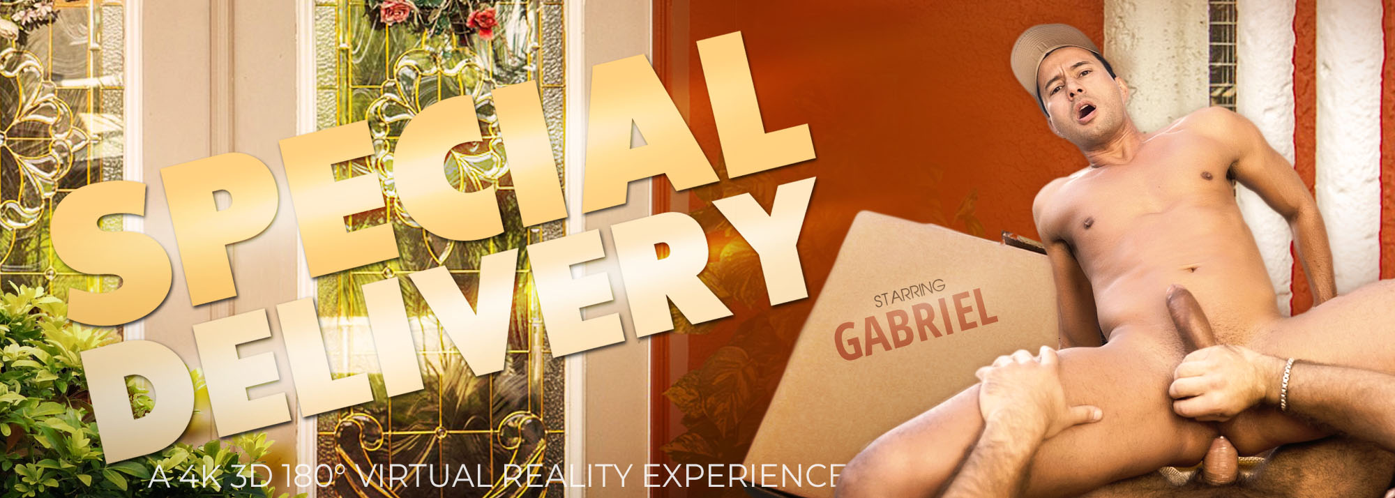 Special Delivery - Gay VR Porn Video, Starring: Gabriel D’Allessandro